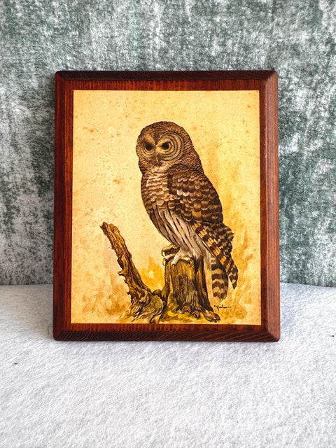 Wooden Wall Plaque Featuring Detailed Owl Illustration