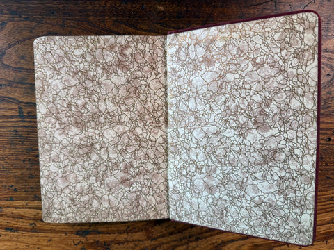 Spring Flora by Kellerman, Gleason & Schaffner | 1914 Hardback Botanical Guide