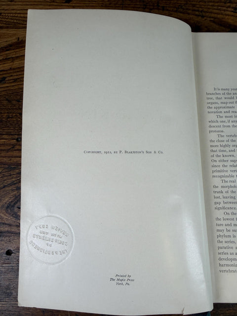 The Evolution of the Vertebrates and Their Kin by Patten | 1912 Hardback