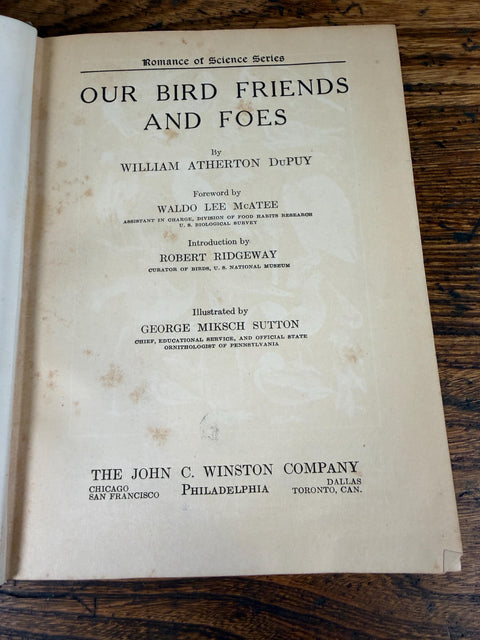 Our Bird Friends and Foes by William Atherton DuPuy | 1925 Illustrated Bird Book