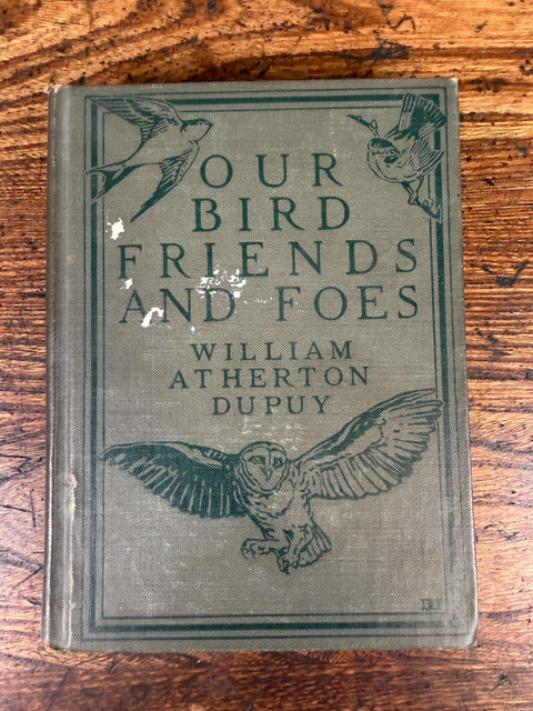 Our Bird Friends and Foes by William Atherton DuPuy | 1925 Illustrated Bird Book