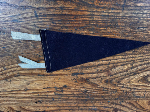 Penn State University Mini Felt Pennant
