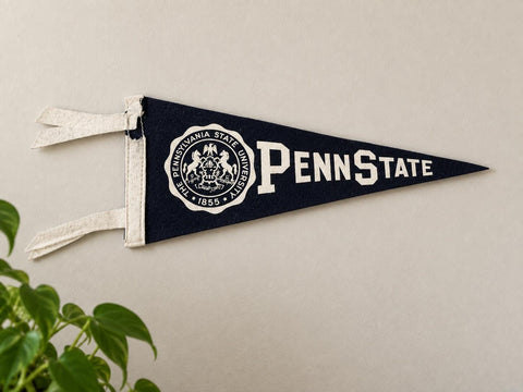Penn State University Mini Felt Pennant