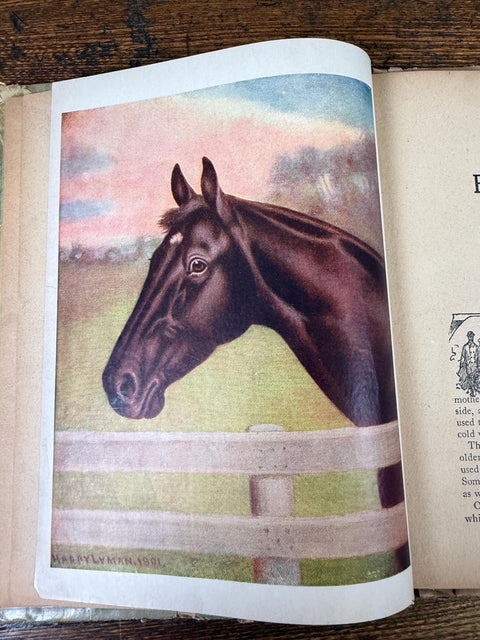 Black Beauty by Anna Sewell | 1910-1913 Hardback Young Folks' Edition