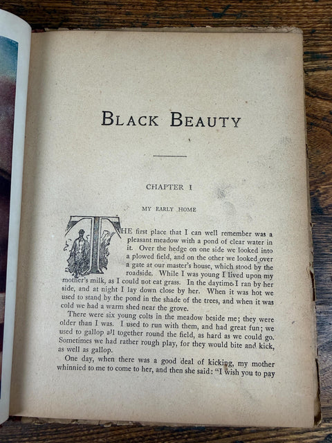 Black Beauty by Anna Sewell | 1910-1913 Hardback Young Folks' Edition