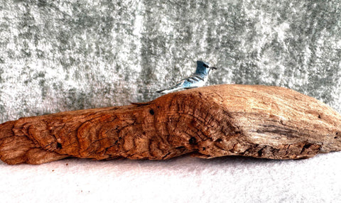 Small Blue Jay Bird Figurine on Driftwood Base