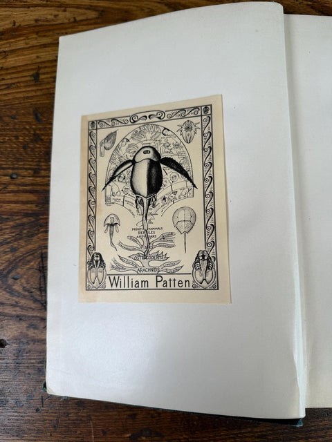 The Evolution of the Vertebrates and Their Kin by Patten | 1912 Hardback