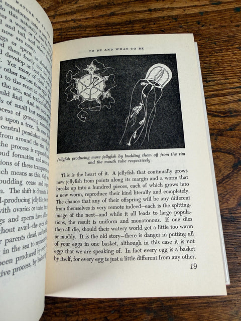 Sex and the Nature of Things by N.J. Berrill | 1953 Hardback