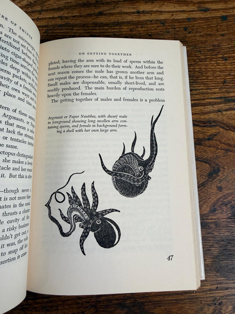Sex and the Nature of Things by N.J. Berrill | 1953 Hardback