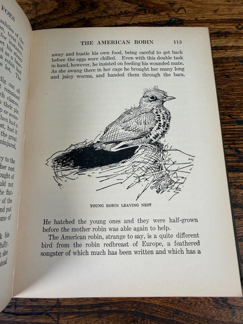 Our Bird Friends and Foes by William Atherton DuPuy | 1925 Illustrated Bird Book