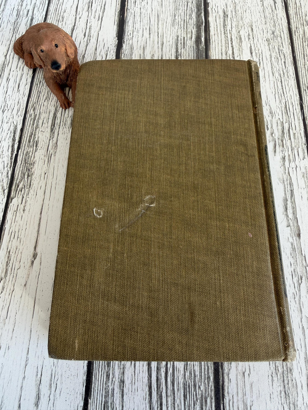 Robinson Crusoe by Daniel Defoe | 1922 Hardcover