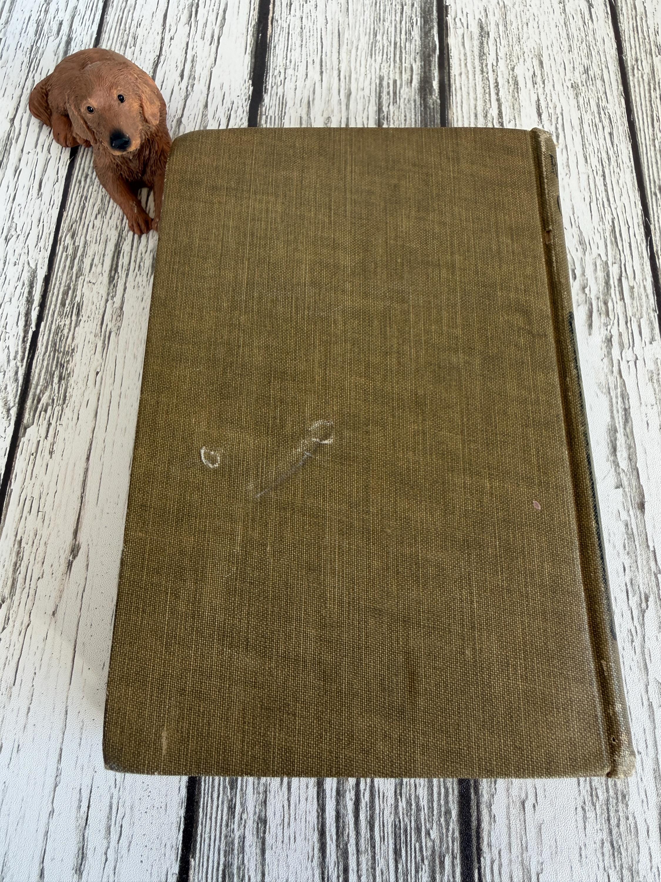 Robinson Crusoe by Daniel Defoe | 1922 Hardcover