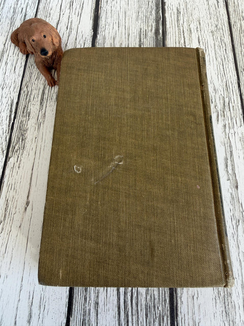 Robinson Crusoe by Daniel Defoe | 1922 Hardcover