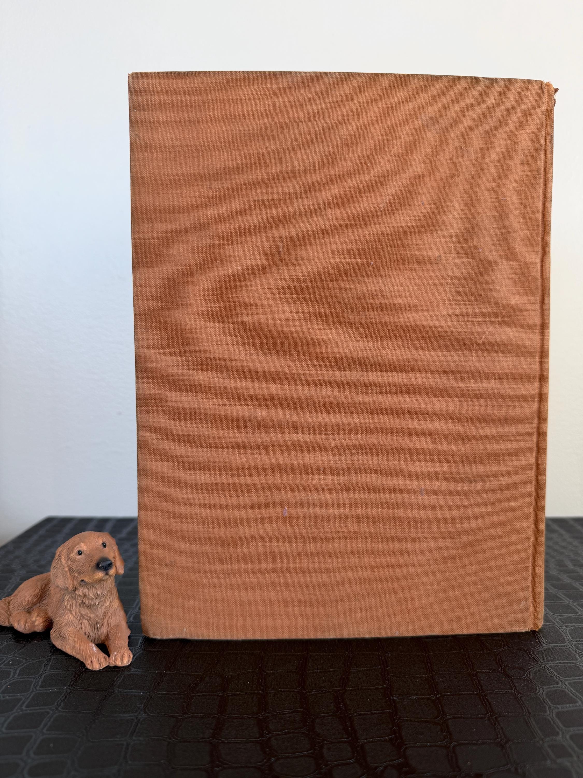Grimm's Fairy Tales | German Illustrated Hardcover