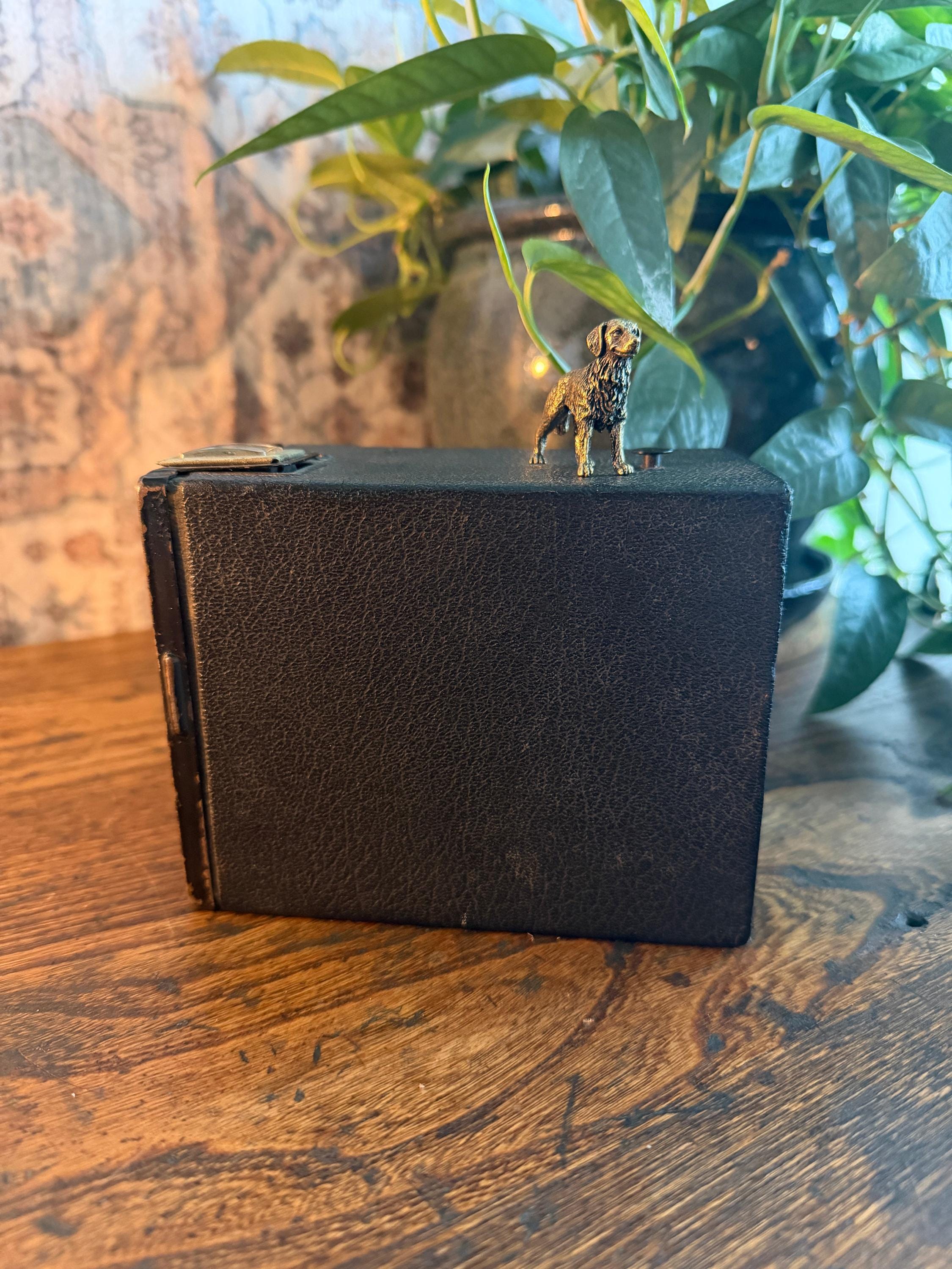 Kodak Target Brownie Six-20 Camera | 1930s