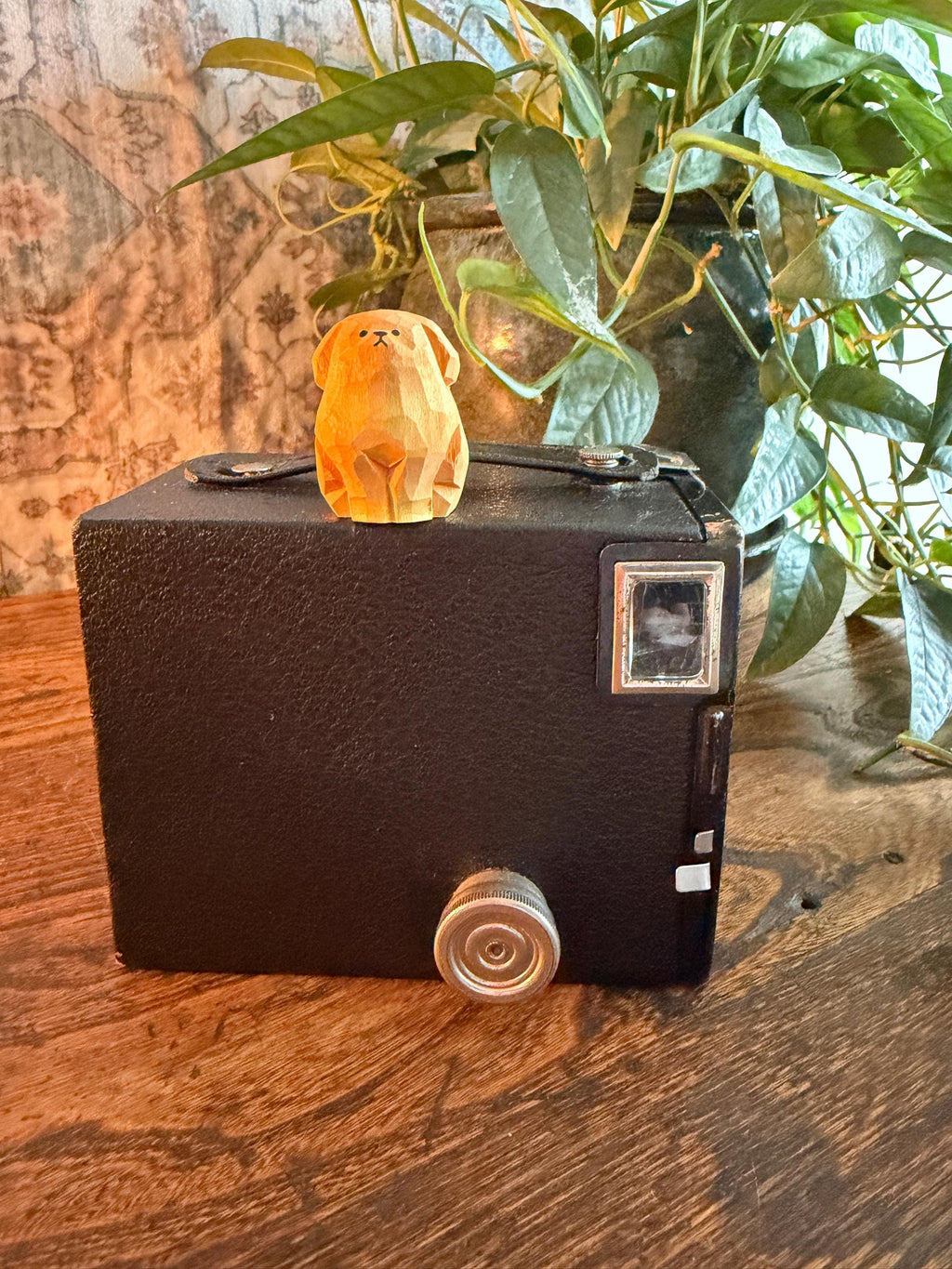Kodak Brownie Target Six-20 Camera | 1930s