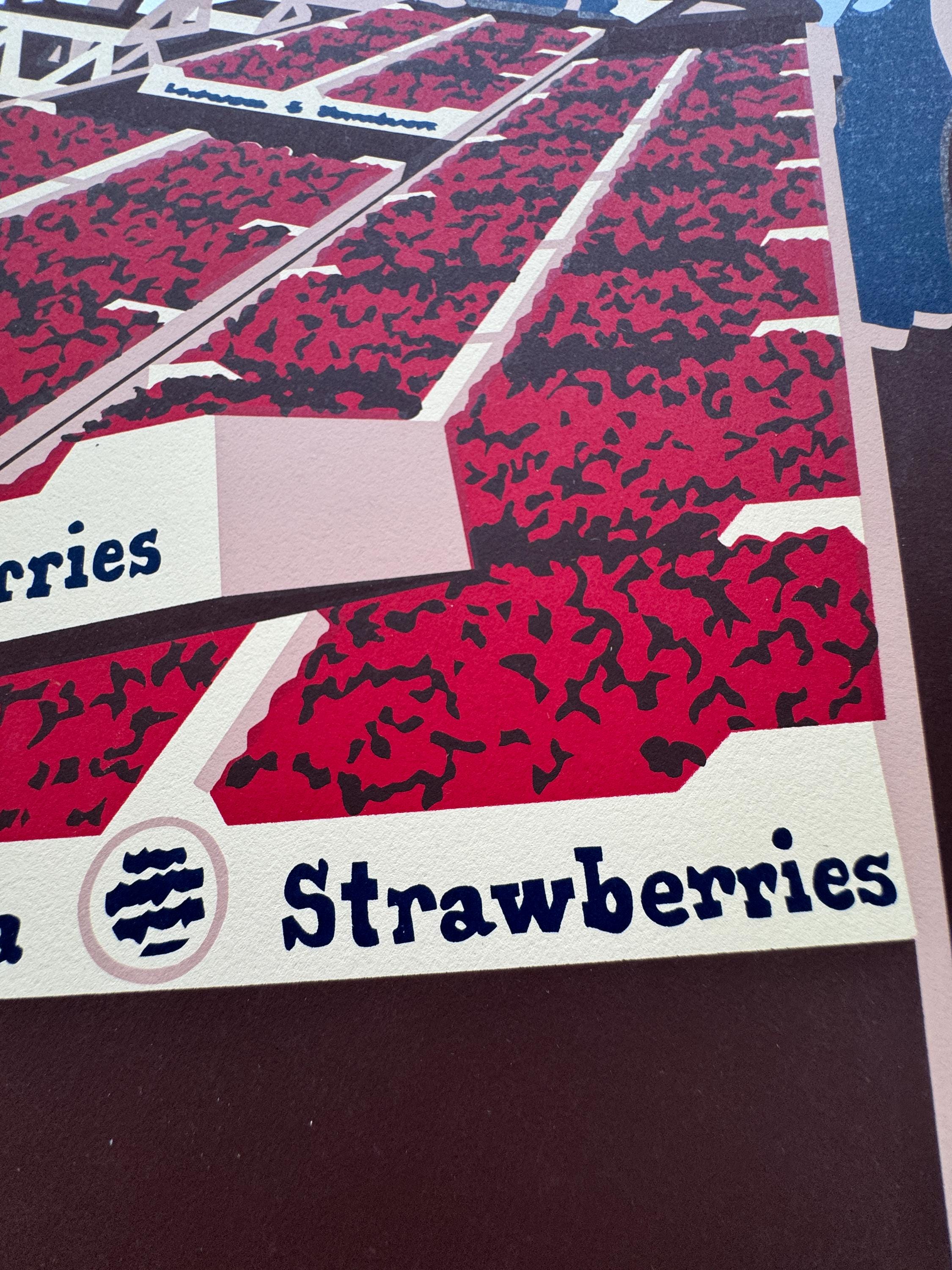 Tenth Annual Strawberry Festival – 1981 – Kim Howes Zabbia | Silkscreen (586/1250)