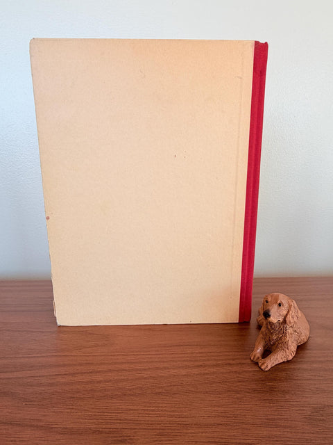 Der Struwwelpeter by Heinrich Hoffmann | Illustrated Hardcover