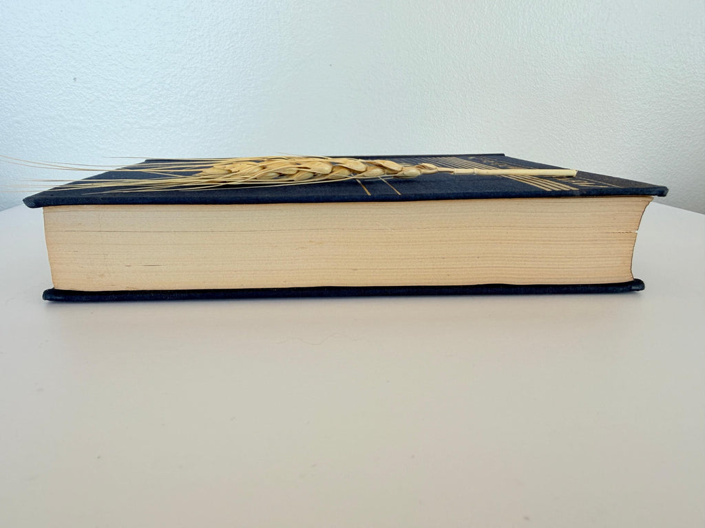 Notre-Dame de Paris by Victor Hugo | 1931 Hardcover