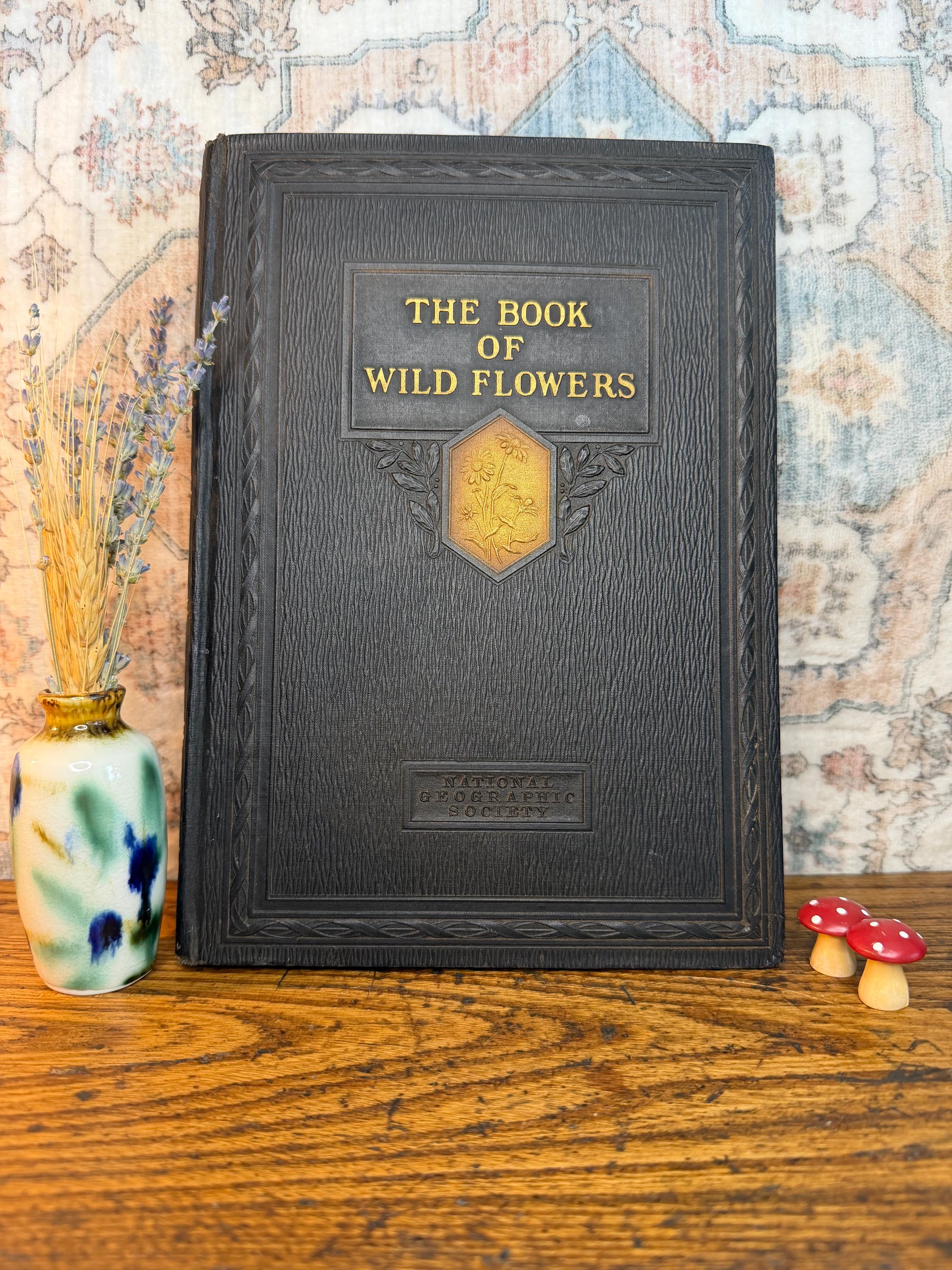 National Geographic Society - The Book of Wild Flowers | 1924 Illustrated Hardback