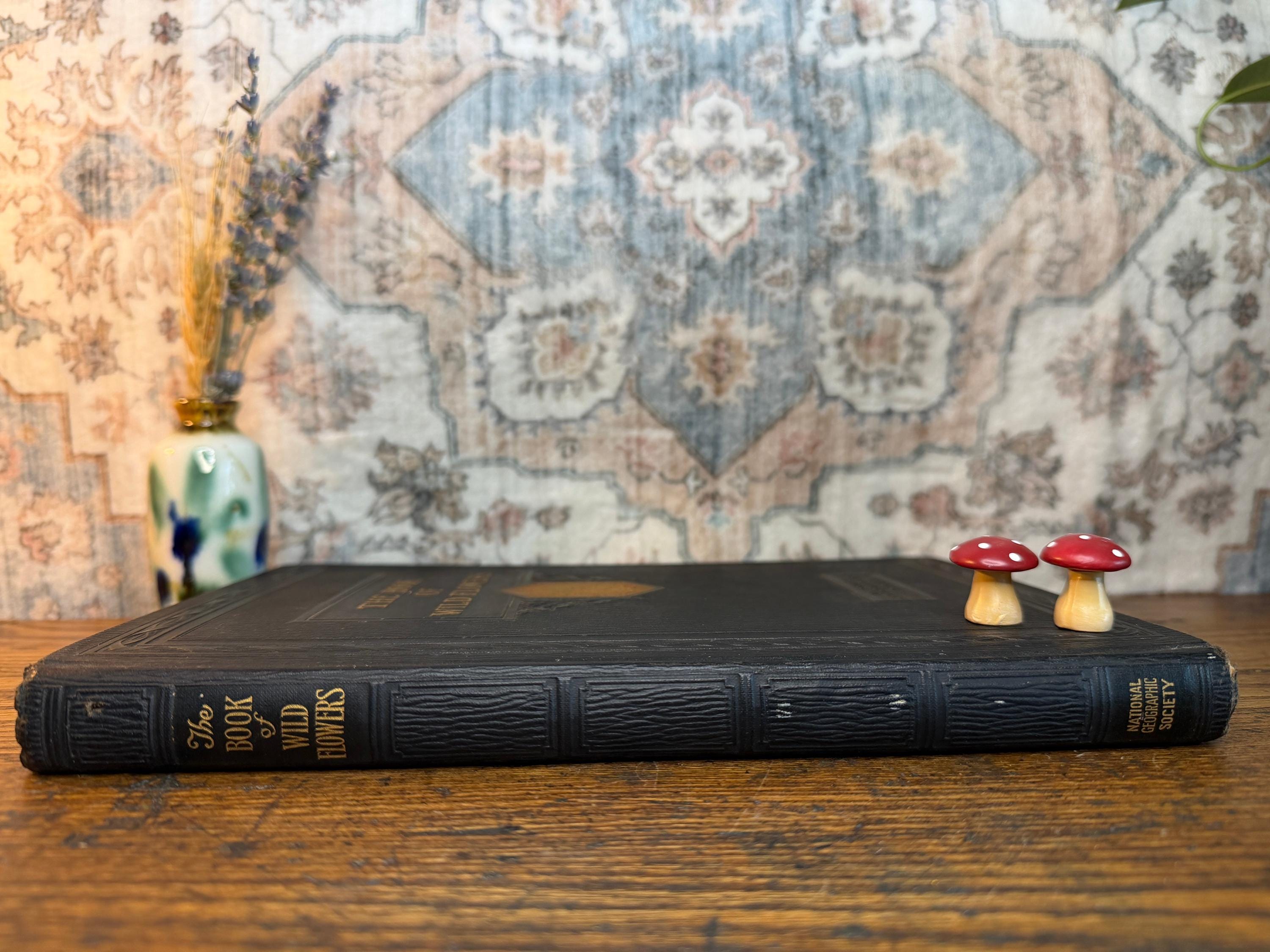 National Geographic Society - The Book of Wild Flowers | 1924 Illustrated Hardback