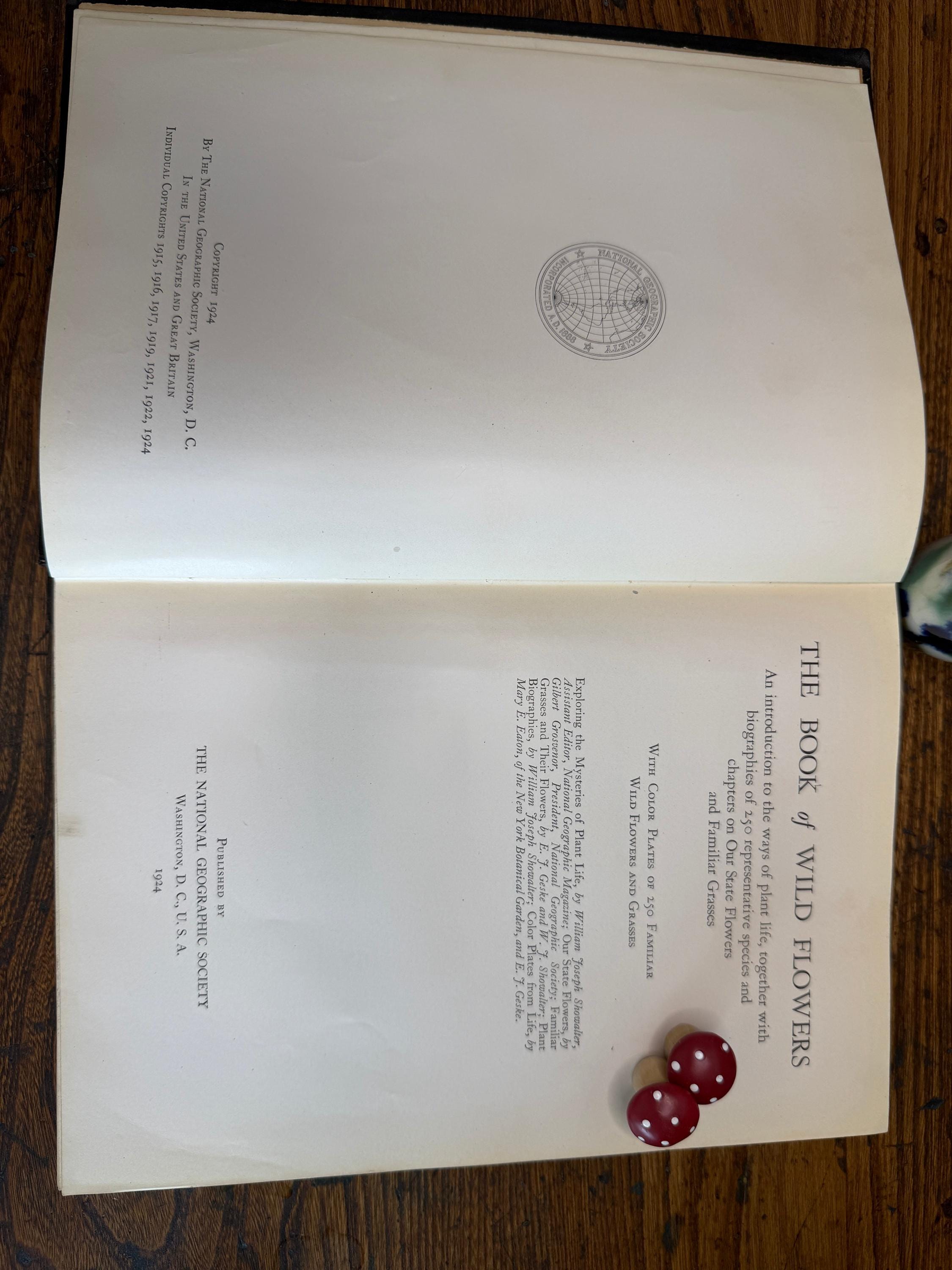 National Geographic Society - The Book of Wild Flowers | 1924 Illustrated Hardback
