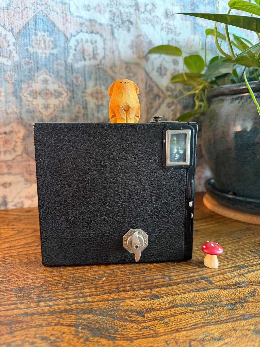 Kodak Brownie Junior Six-16 Box Camera | 1930s