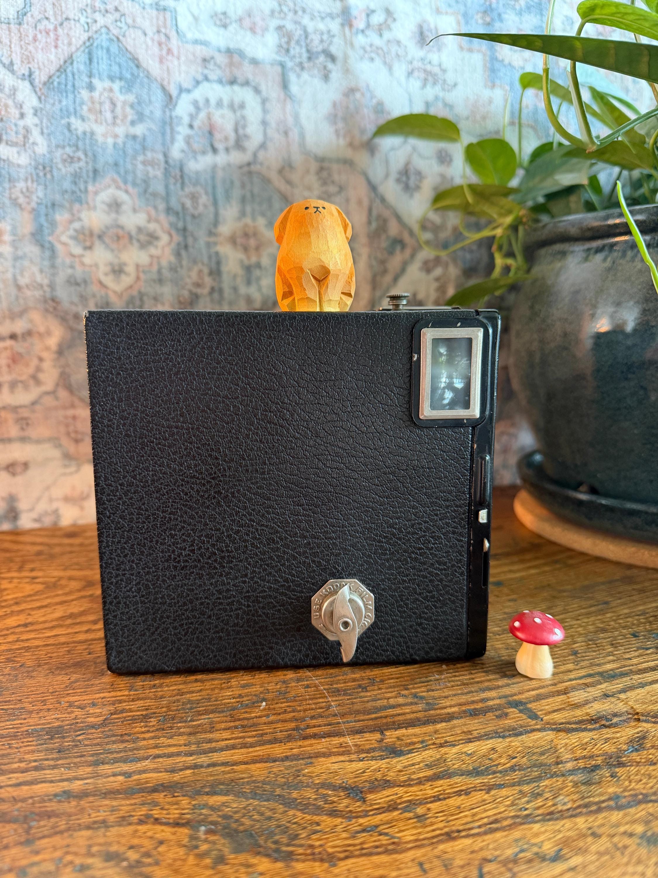 Kodak Brownie Junior Six-16 Box Camera | 1930s