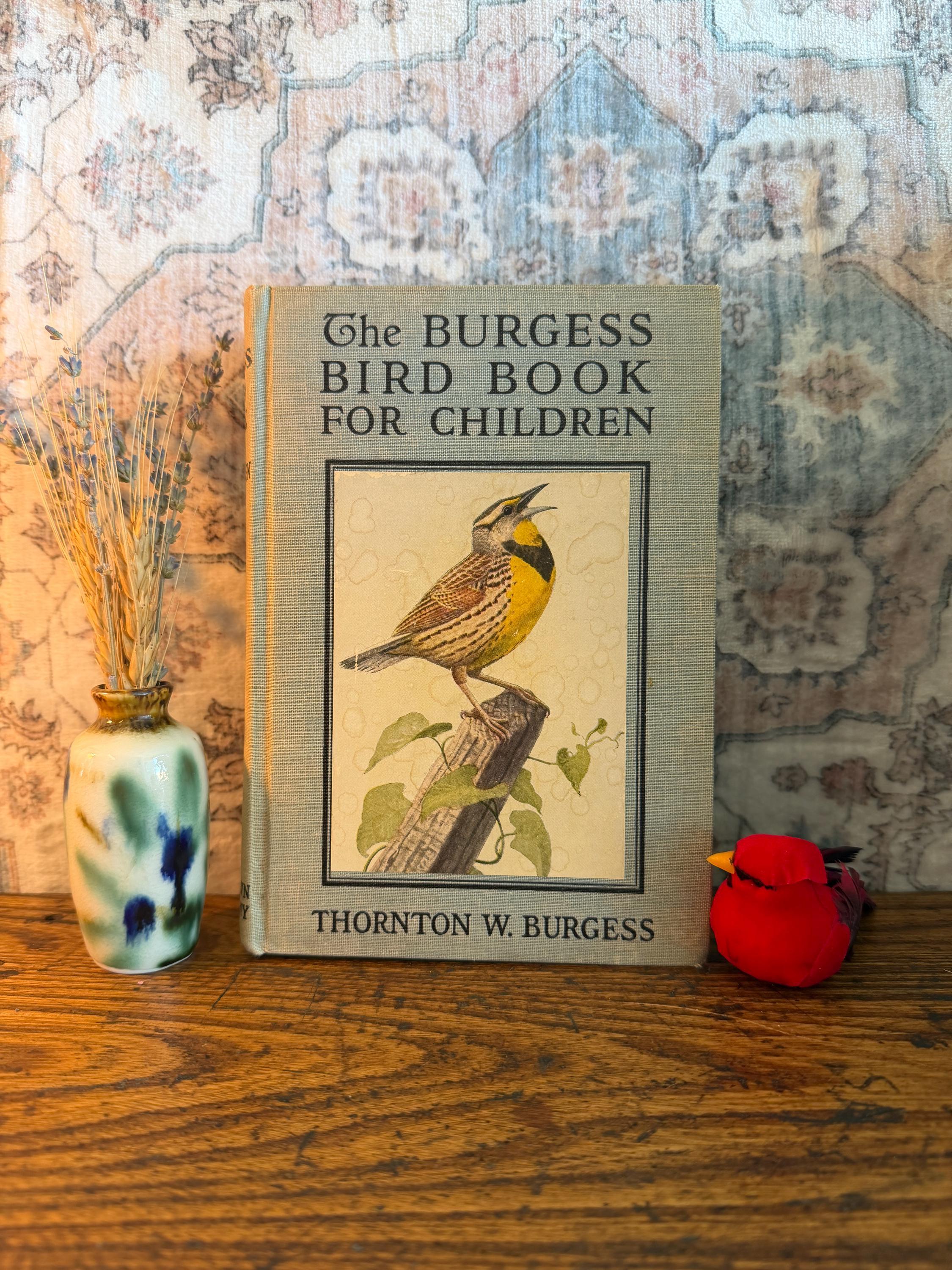 The Burgess Bird Book for Children by Thornton W. Burgess | 1919 Illustrated Hardcover