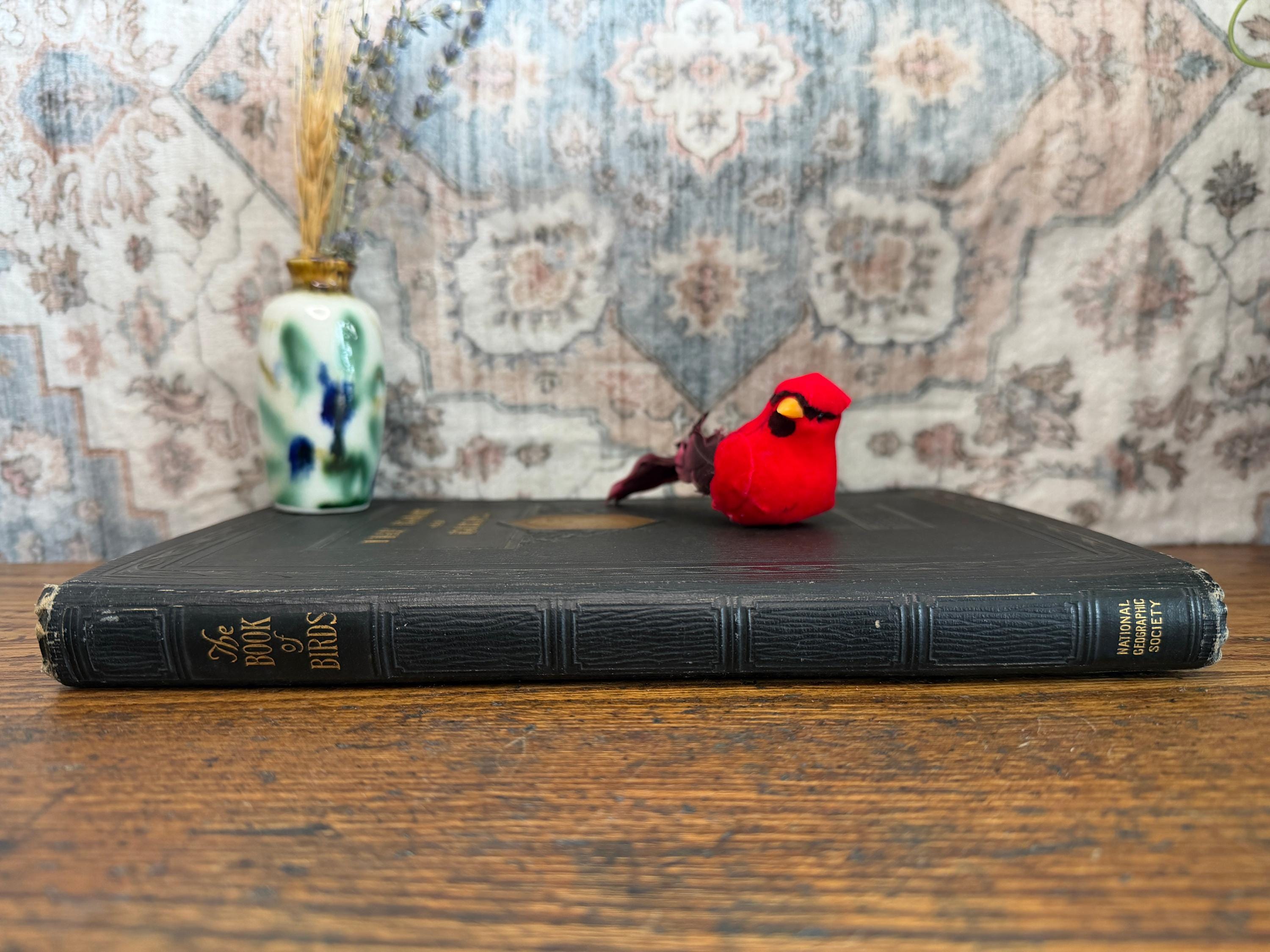 National Geographic Society - The Book of Birds | 1927 First Edition Illustrated Hardback