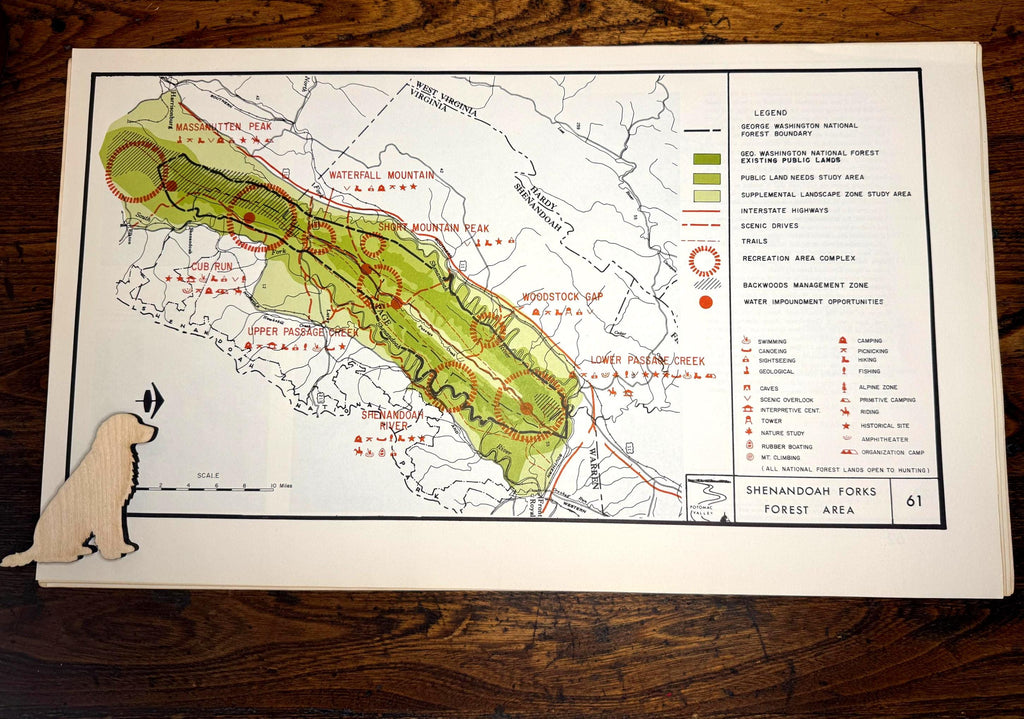 Shenandoah Forks Forest Area Map | Potomac Valley, 1966