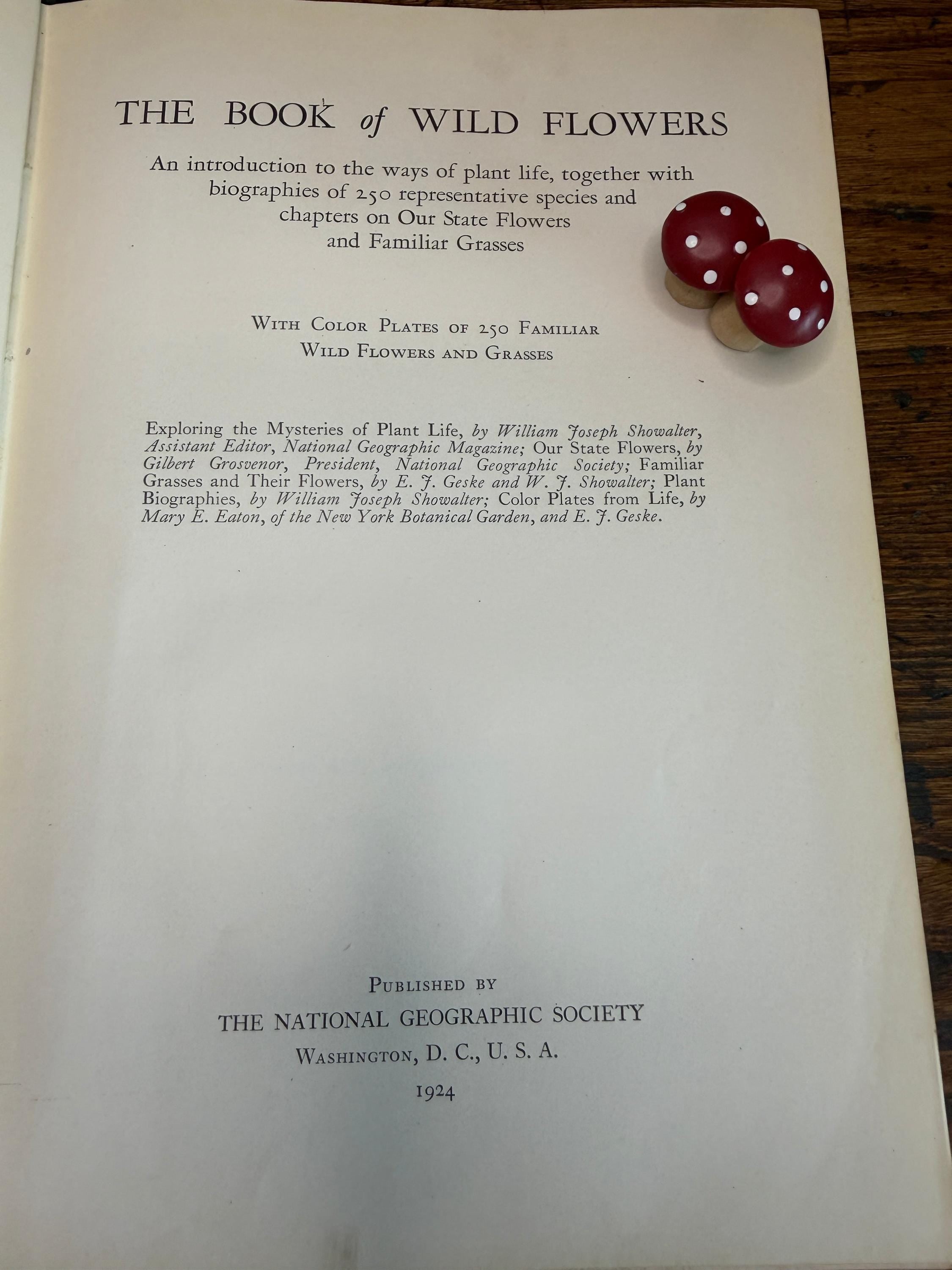 National Geographic Society - The Book of Wild Flowers | 1924 Illustrated Hardback