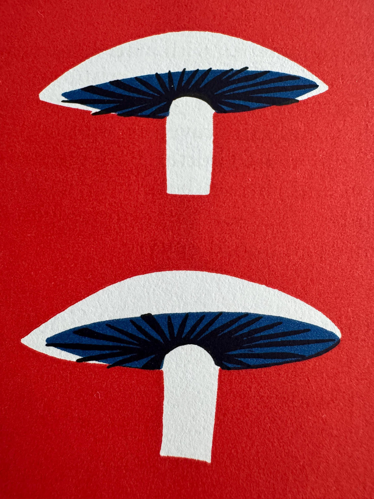 Simple French Cookery Book Plate Print 1958 – Mushrooms