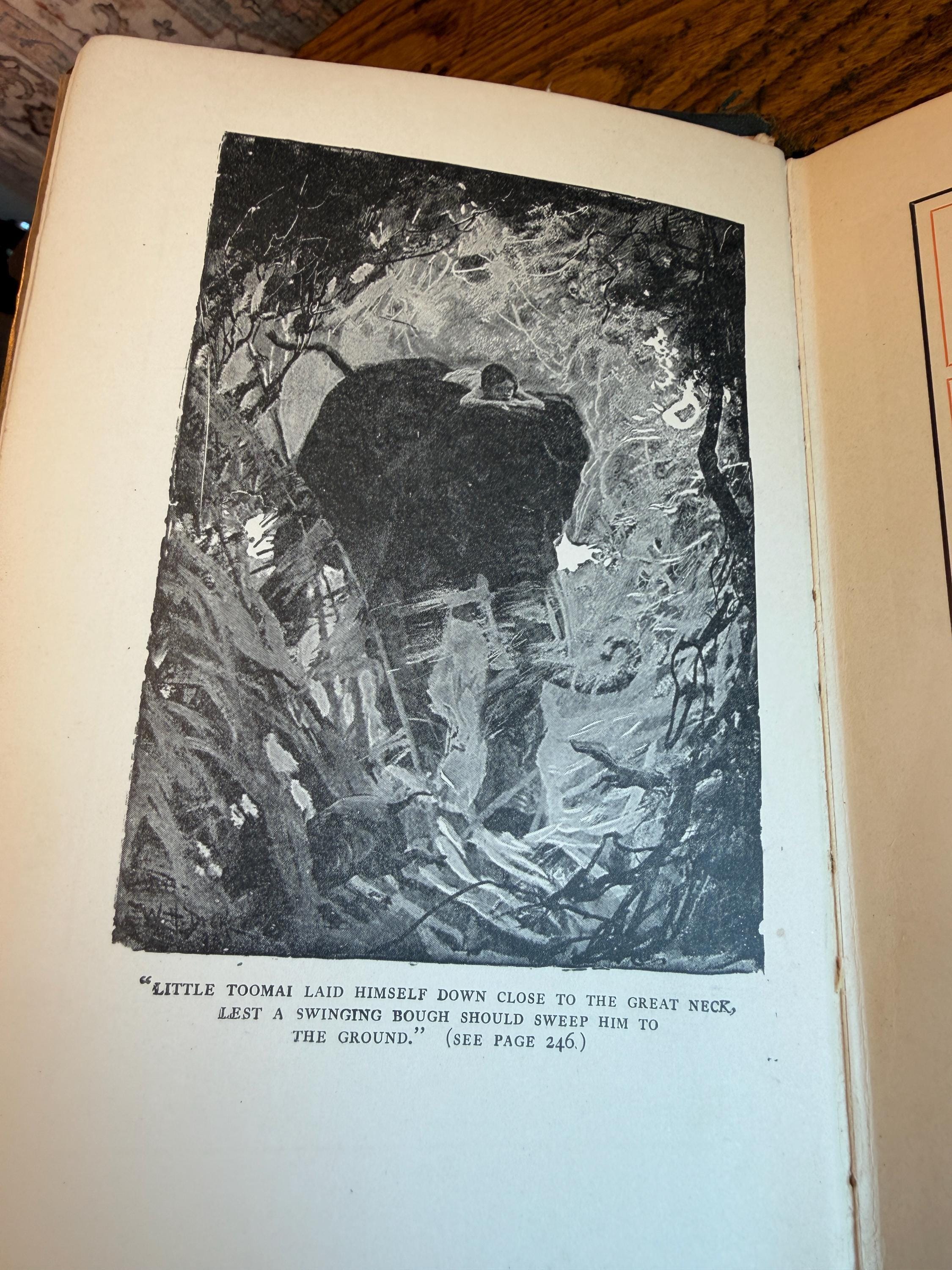 The Jungle Book by Rudyard Kipling | 1925 Hardcover