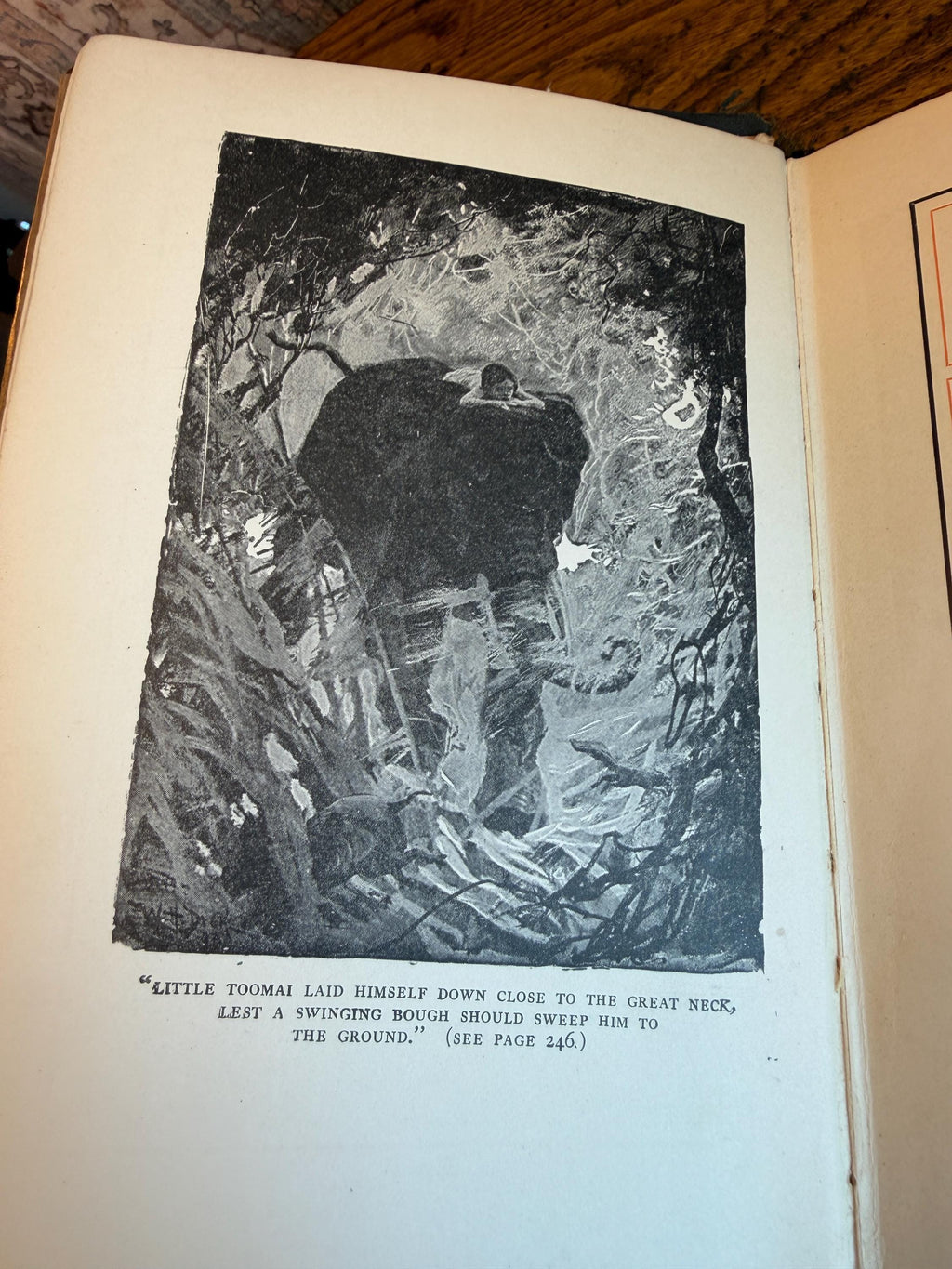 The Jungle Book by Rudyard Kipling | 1925 Hardcover