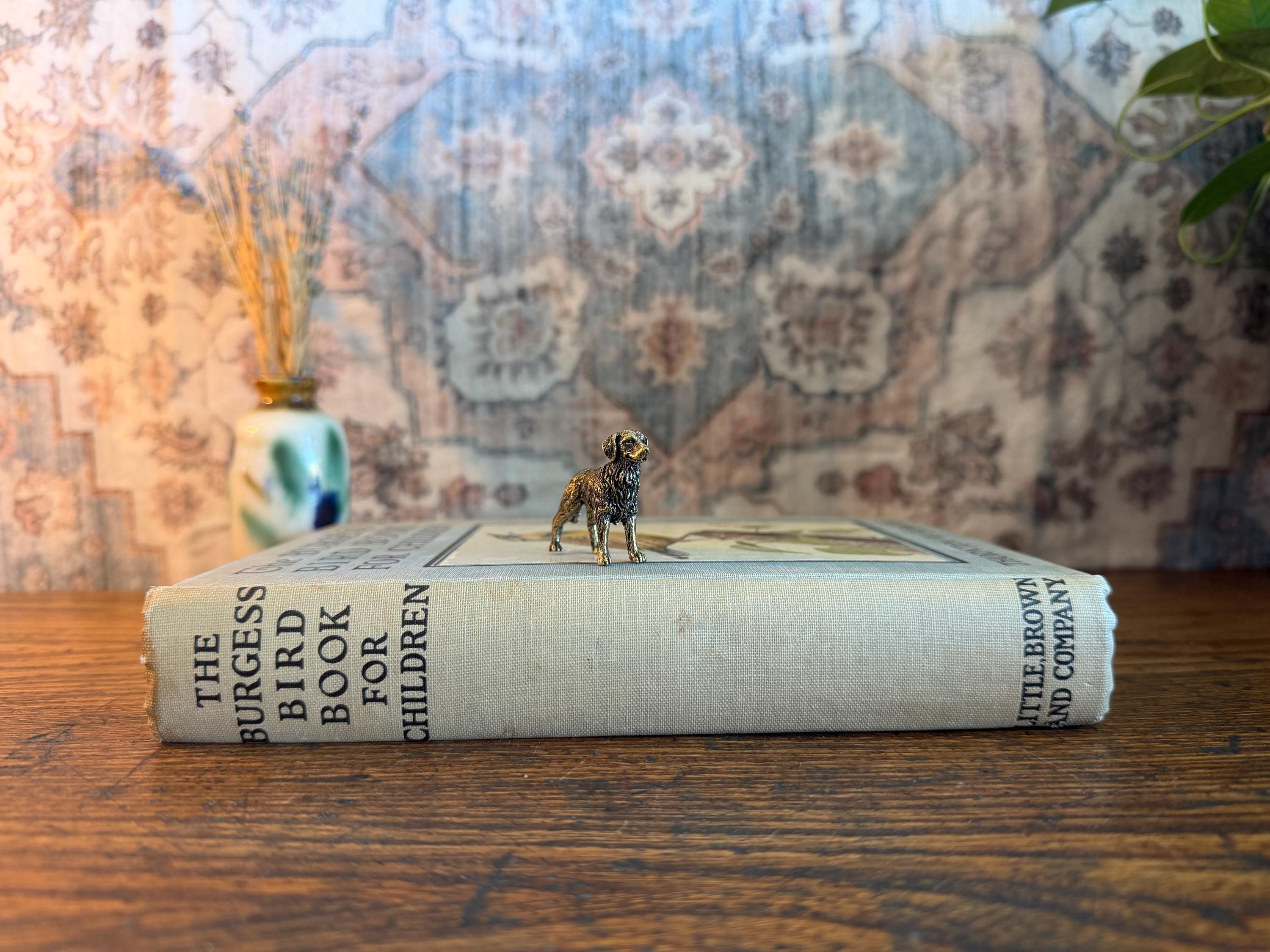 The Burgess Bird Book for Children by Thornton W. Burgess | 1919 Illustrated Hardcover