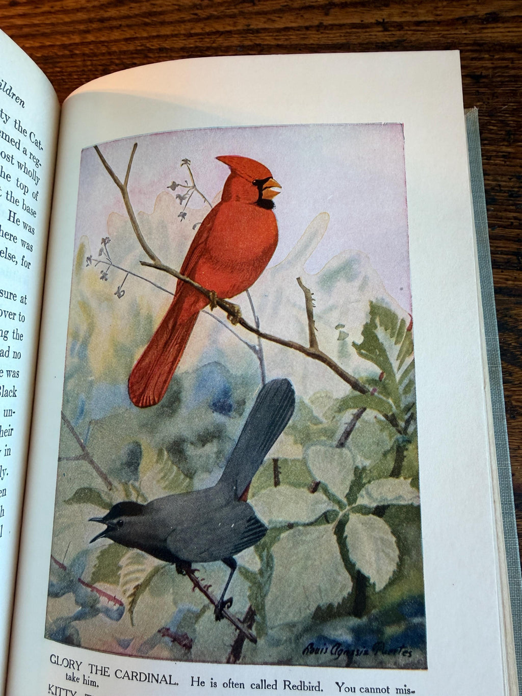 The Burgess Bird Book for Children by Thornton W. Burgess | 1919 Illustrated Hardcover