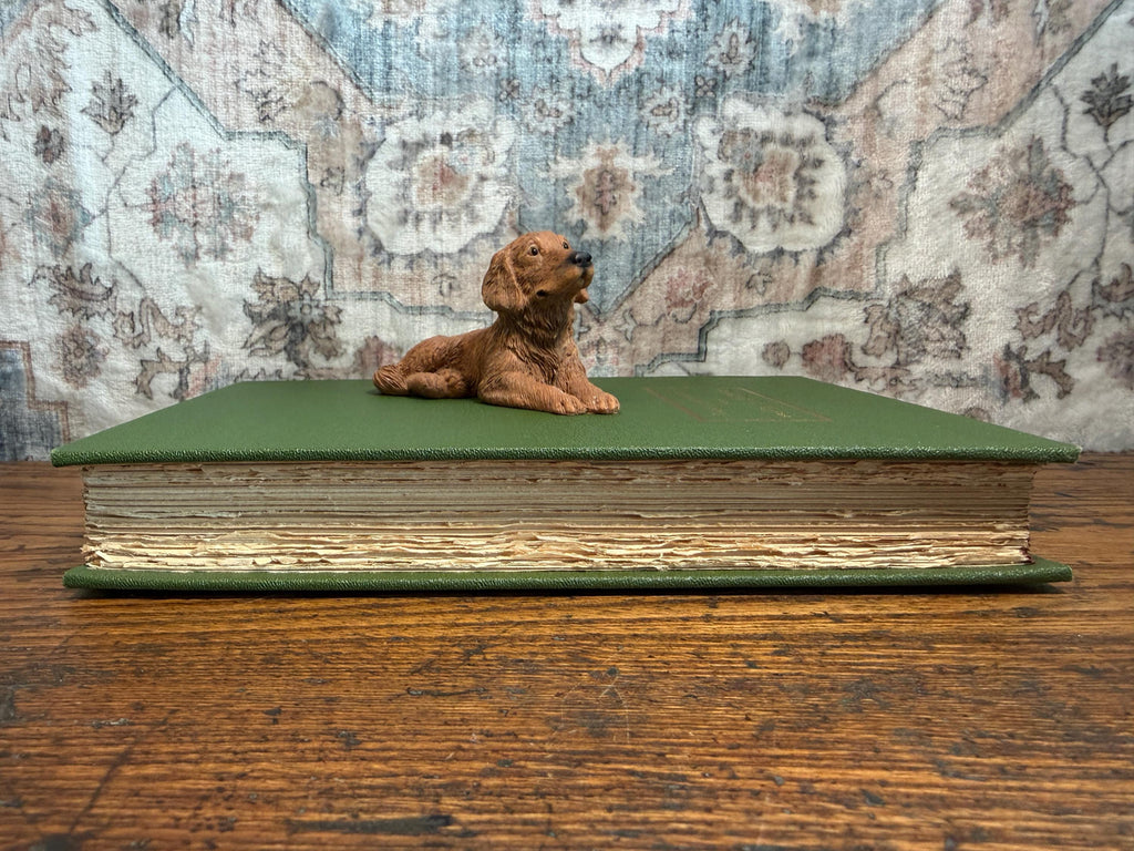 Social Life of Virginia in the Seventeenth Century by Philip Alexander Bruce | Hardcover 1927