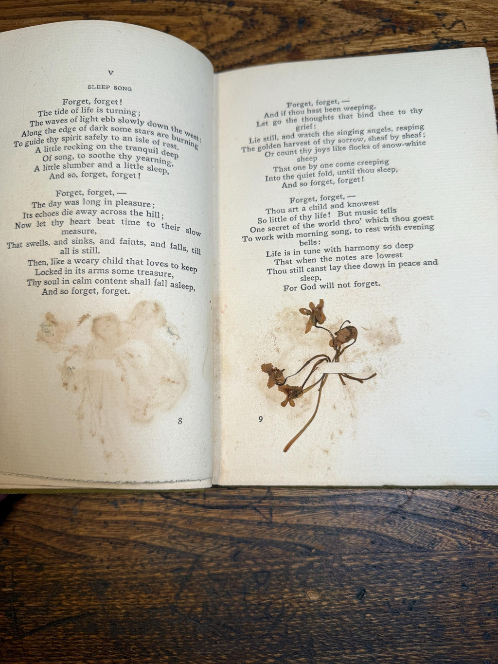 Music and Other Poems by Henry Van Dyke | Hardcover 1904