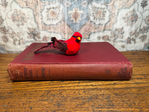 Story of a Southern School by Arthur Kinsolving | Hardcover 1922