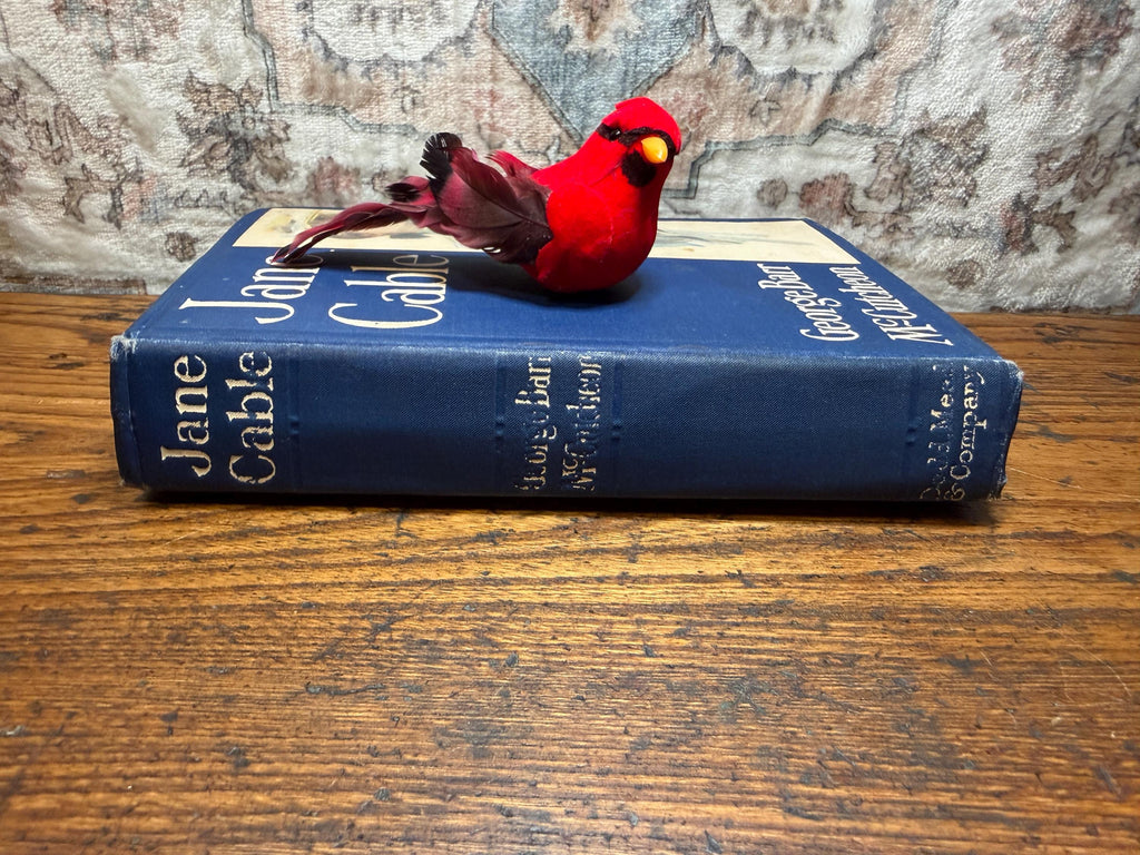 Jane Cable by George Barr McCutcheon | Hardcover 1906
