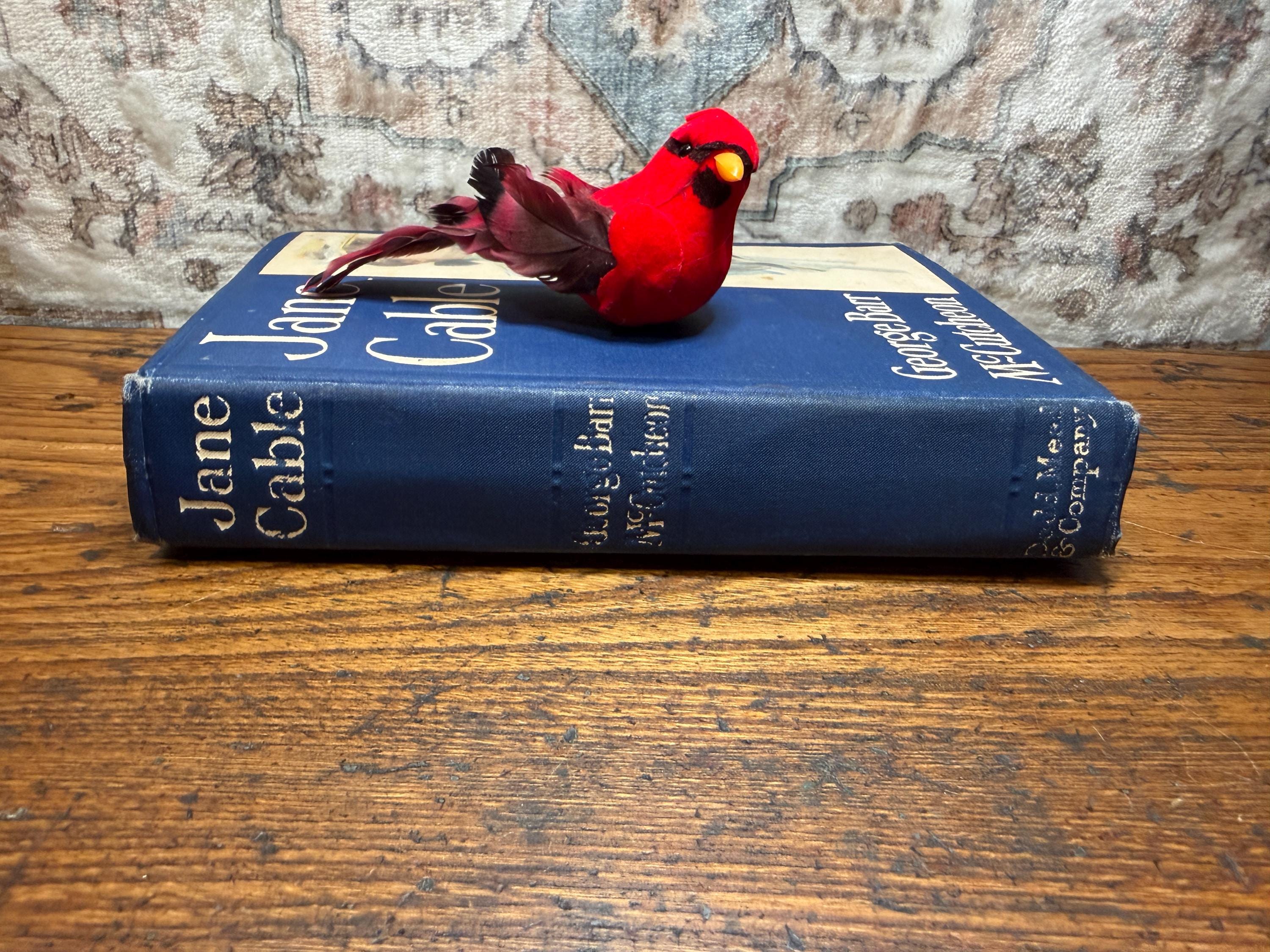 Jane Cable by George Barr McCutcheon | Hardcover 1906