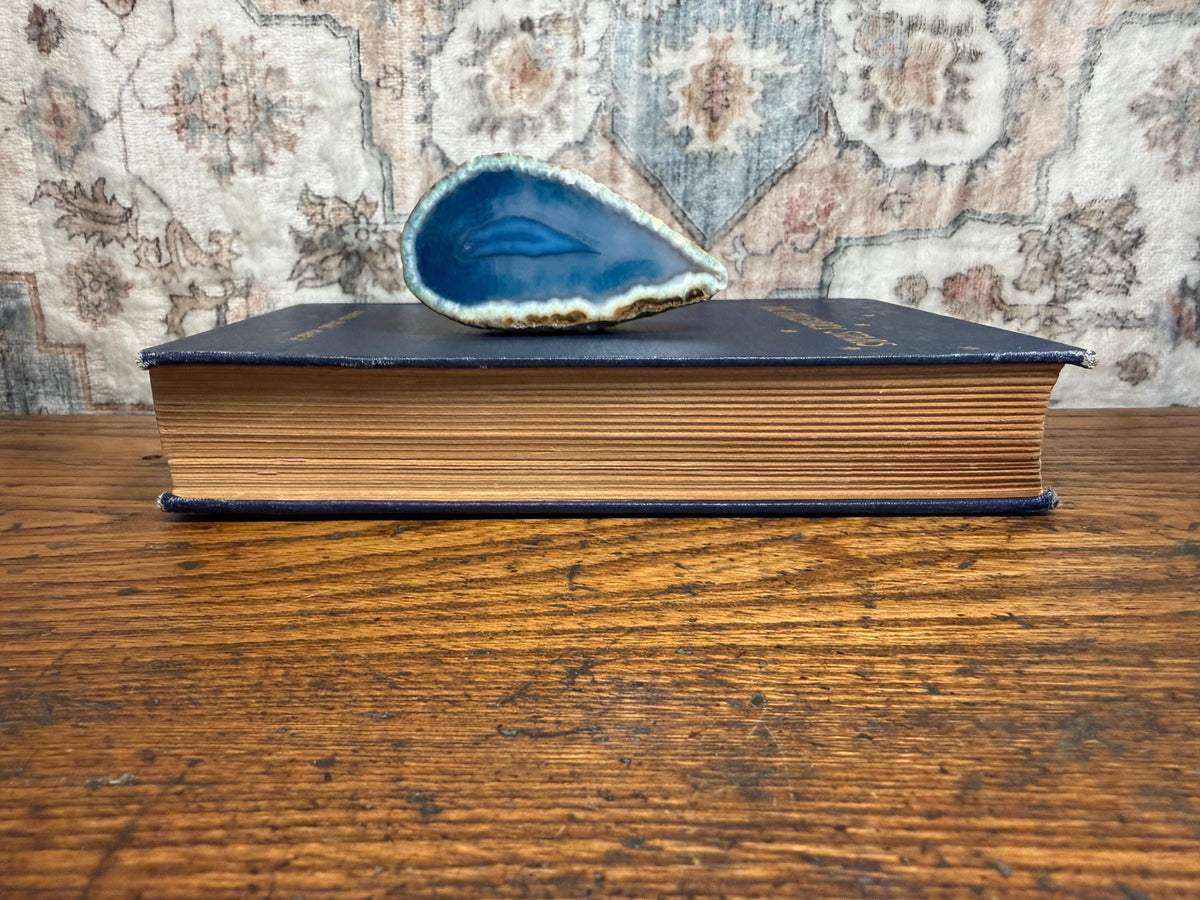 The Friendly Stars by Martha Evans Martin | Hardcover 1907