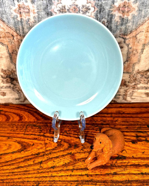 Bread & Butter Plate | 1960s Canonsburg Temporama