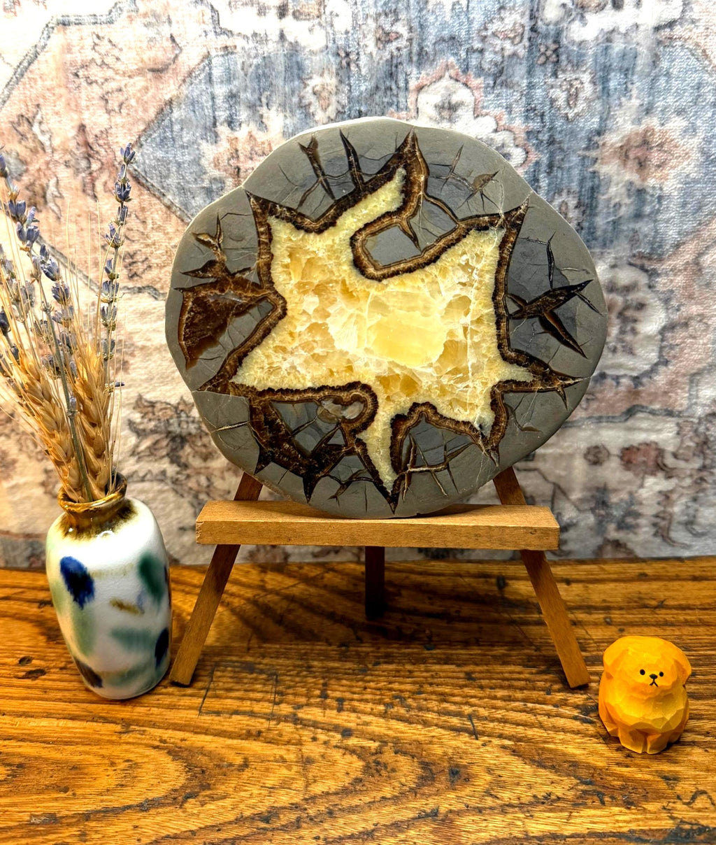 Septarian Nodule Slice Polished | Natural Stone Fossil Display Piece