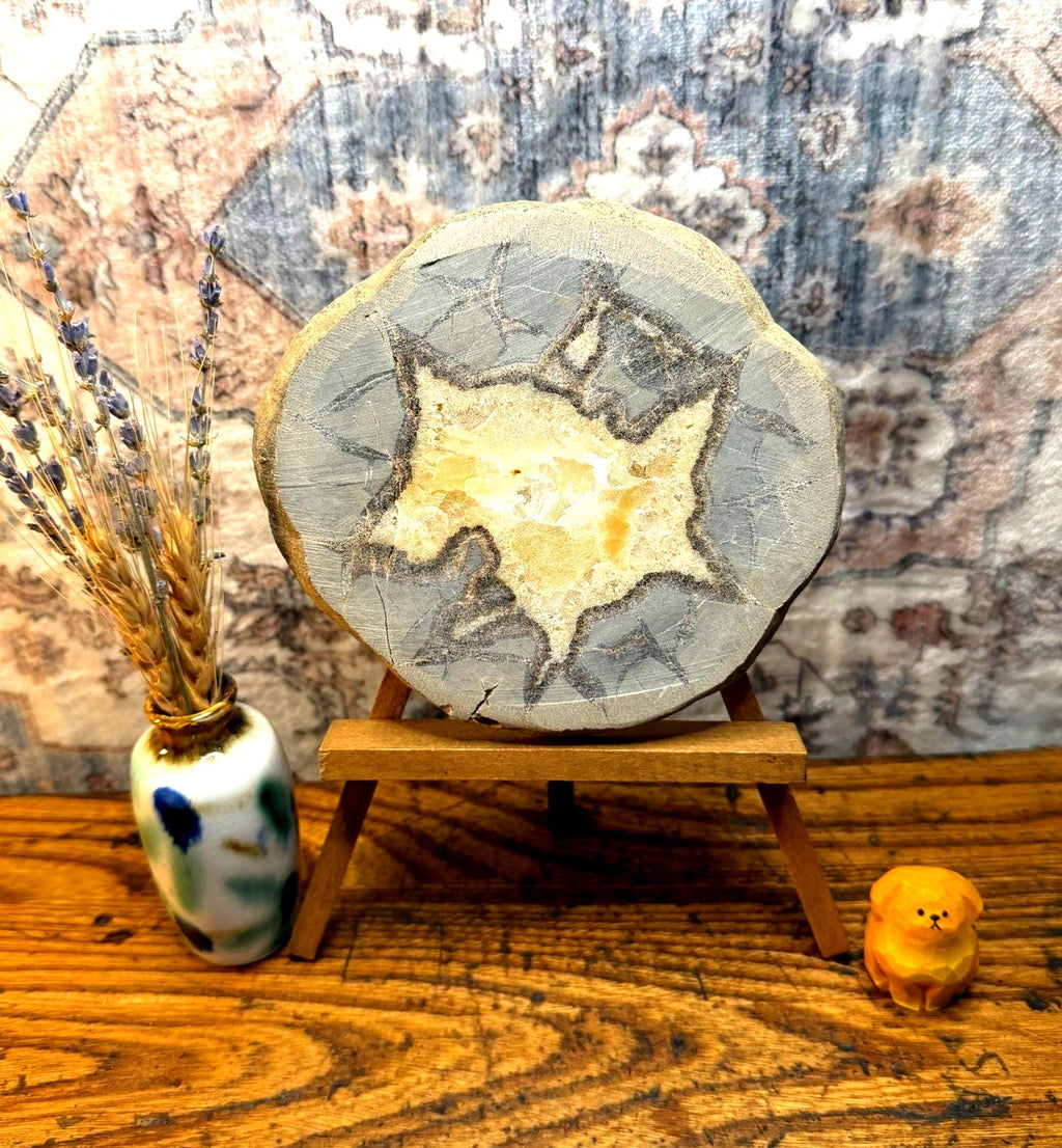 Septarian Nodule Slice Polished | Natural Stone Fossil Display Piece