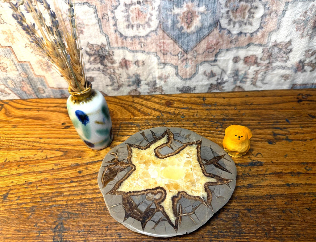Septarian Nodule Slice Polished | Natural Stone Fossil Display Piece