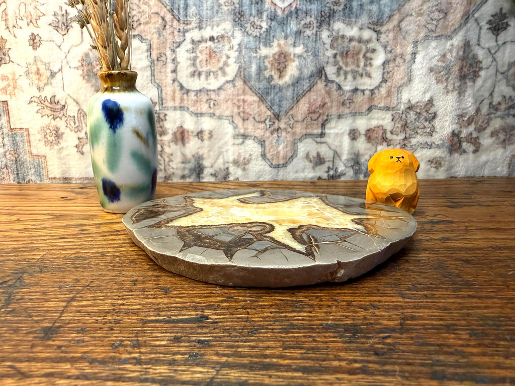 Septarian Nodule Slice Polished | Natural Stone Fossil Display Piece