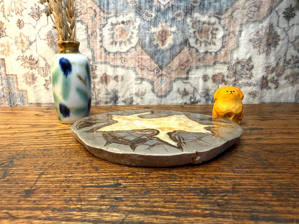 Septarian Nodule Slice Polished | Natural Stone Fossil Display Piece