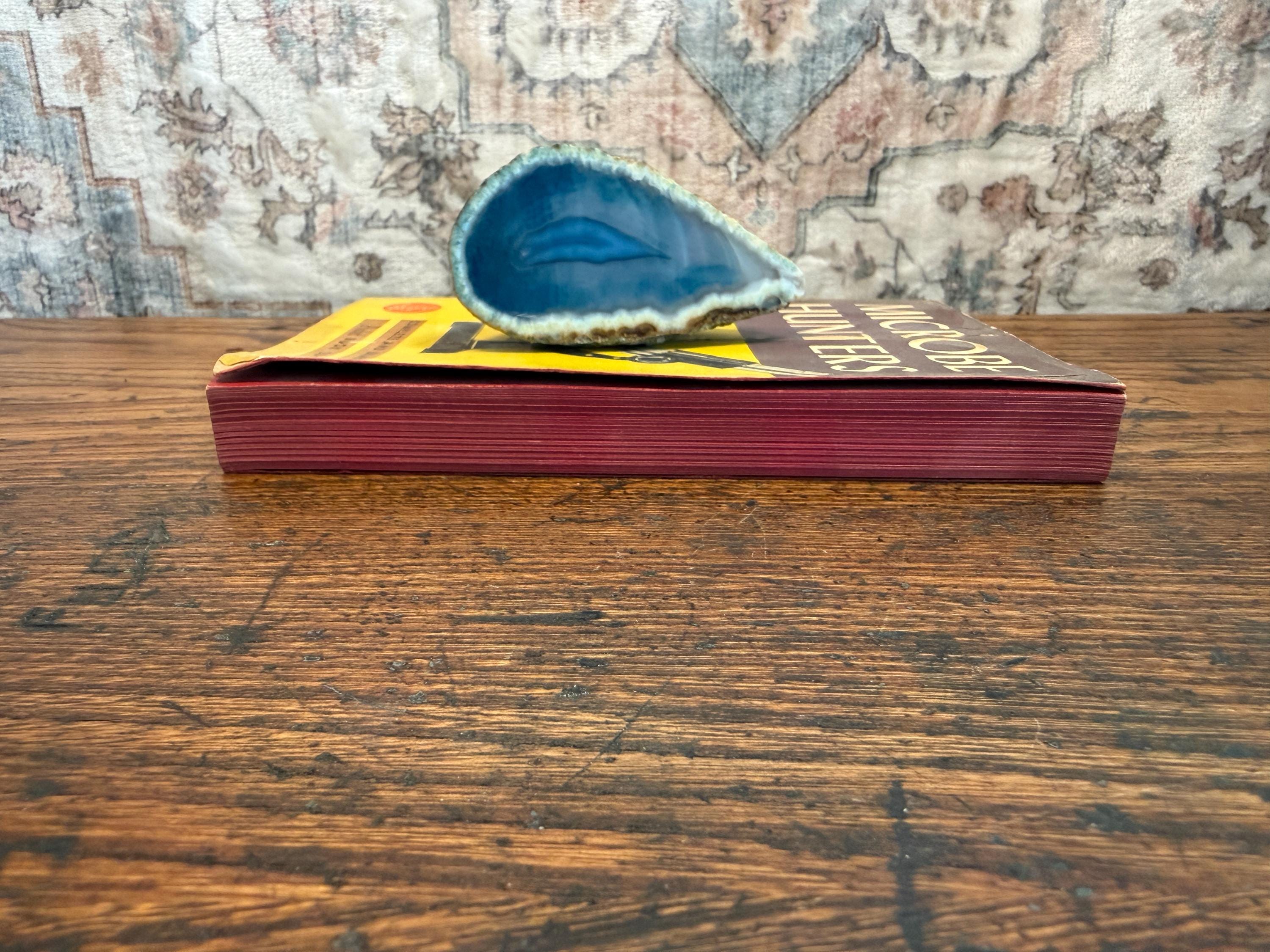 Microbe Hunters by Paul de Kruif | 1941 Paperback